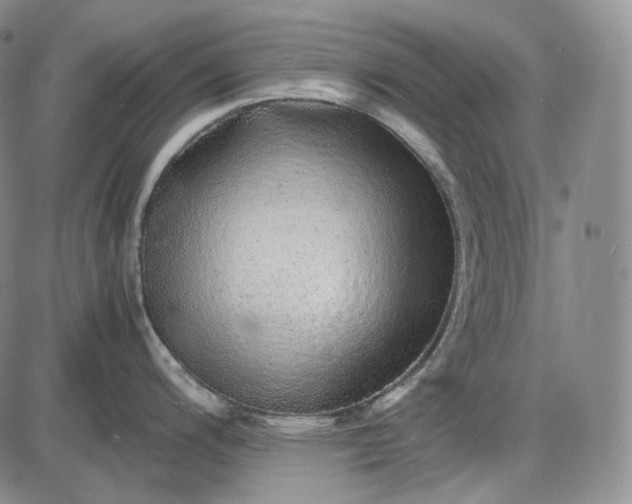 X0000085841200200703301637