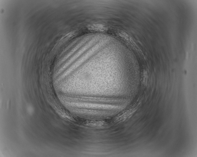 X0000085841201200703301636