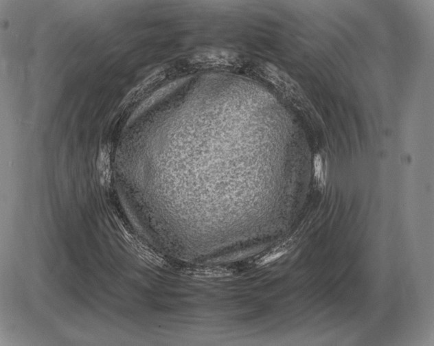 X0000085841203200703301636