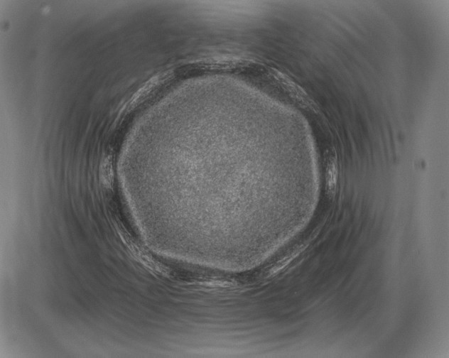 X0000085841204200703301636