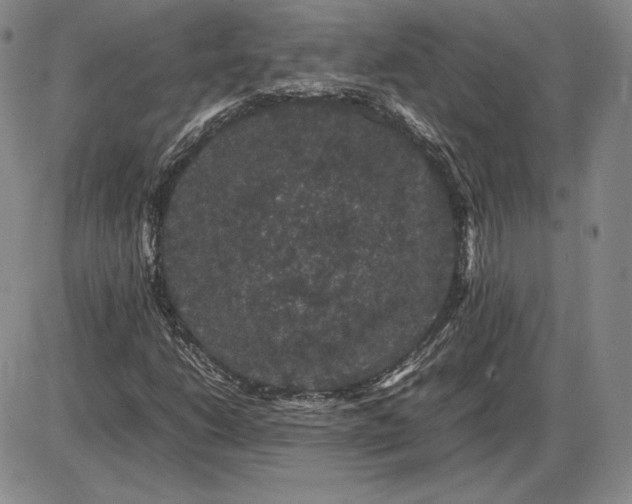 X0000085841206200703301636