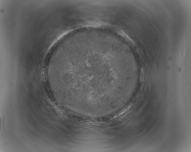 X0000085841208200703301636