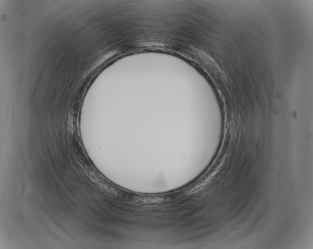 X0000085841209200703301636