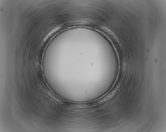 X0000085841210200703301636