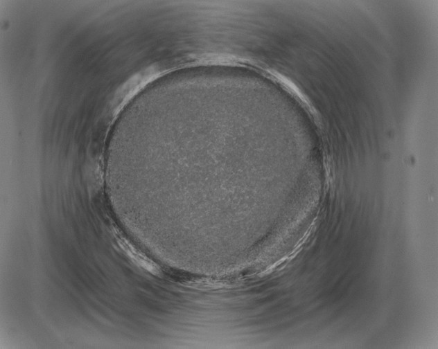 X0000085841212200703301636