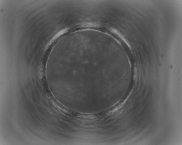 X0000085841213200703301636