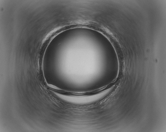 X0000085841214200703301636