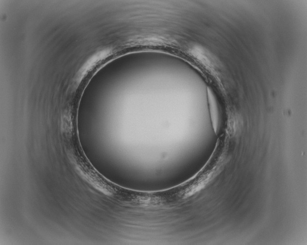 X0000085841218200703301636