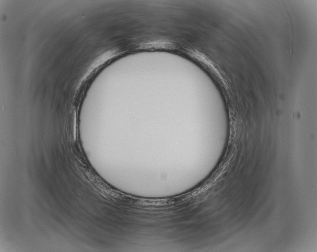 X0000085841219200703301636