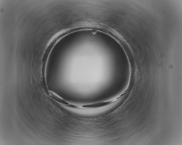 X0000085841222200703301636