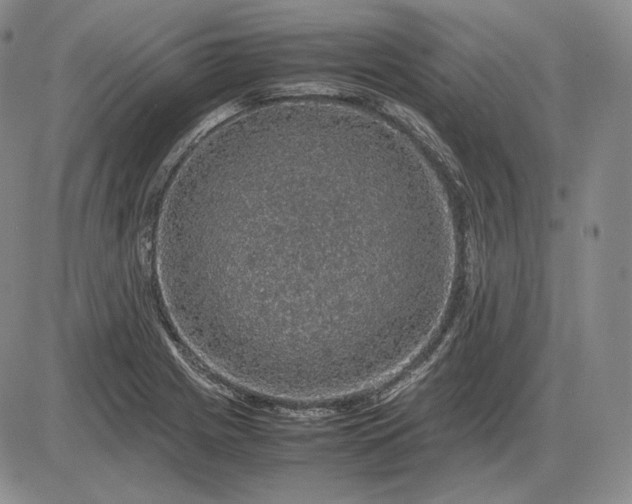 X0000085841225200703301636