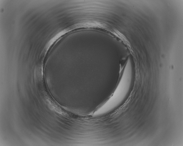 X0000085841226200703301636