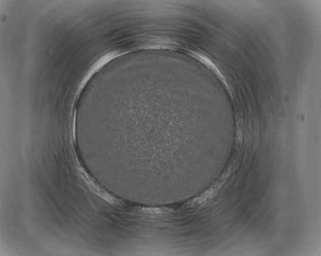 X0000085841227200703301636