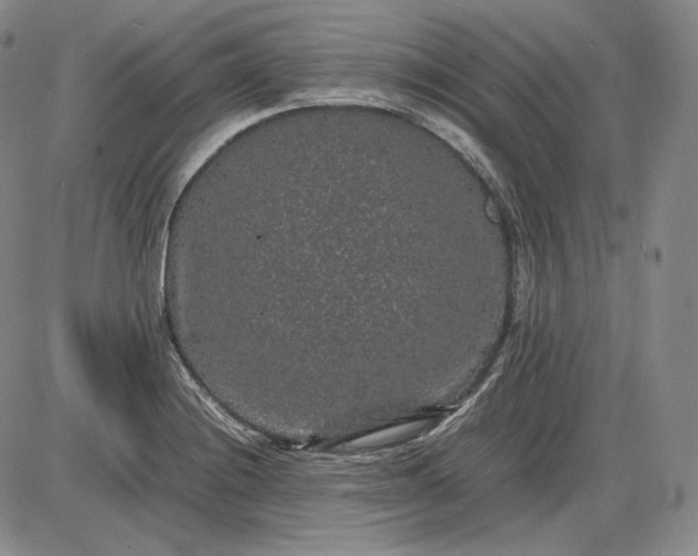 X0000085841228200703301636