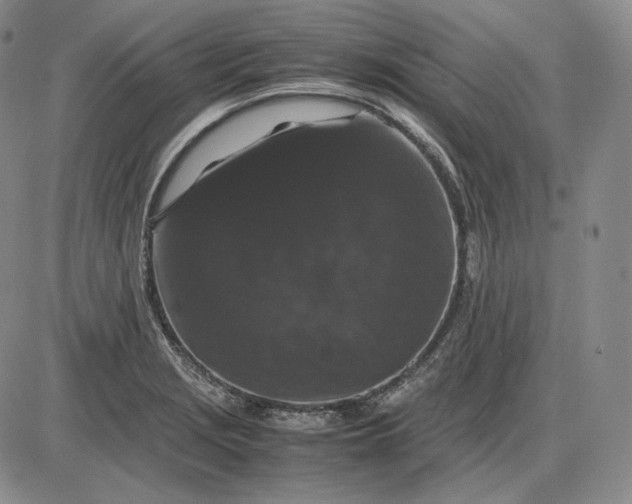 X0000085841229200703301636