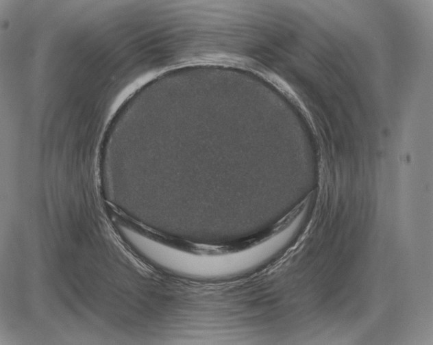 X0000085841230200703301636