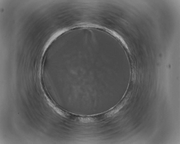 X0000085841231200703301636