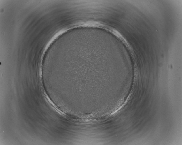X0000085841232200703301636