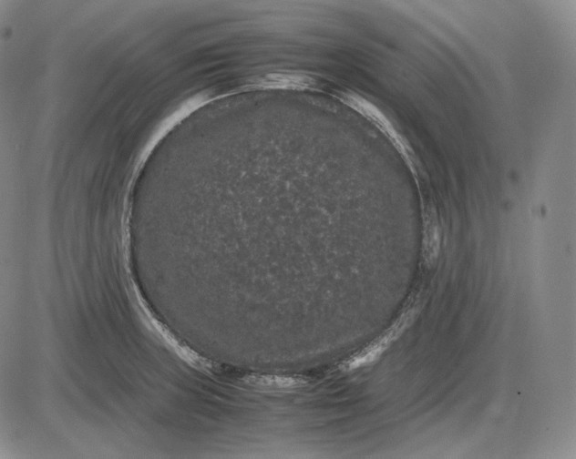 X0000085841235200703301636