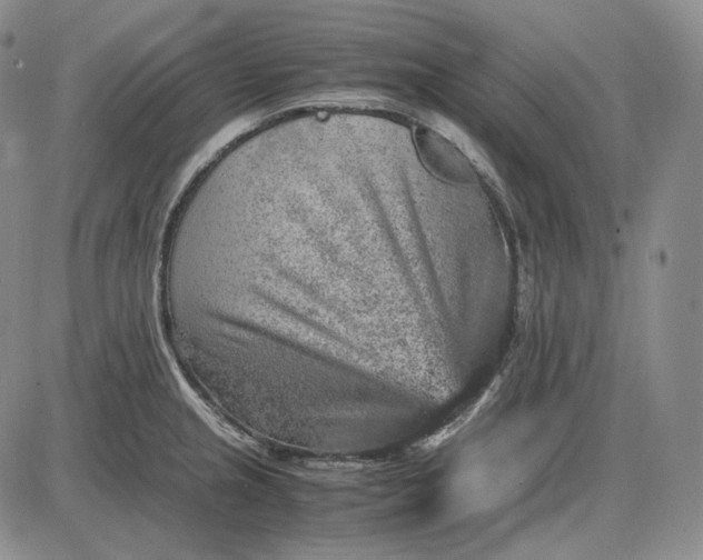 X0000085841237200703301636