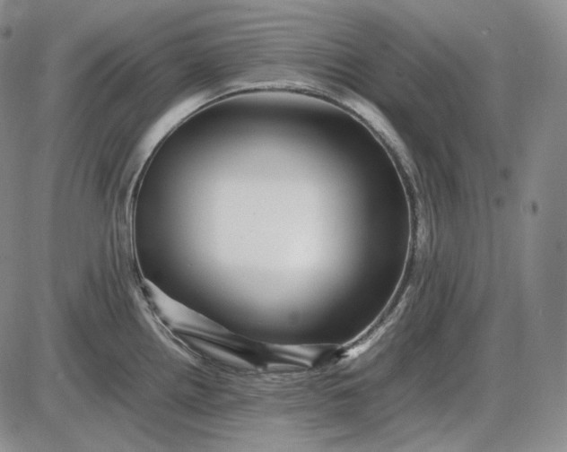 X0000085841242200703301637