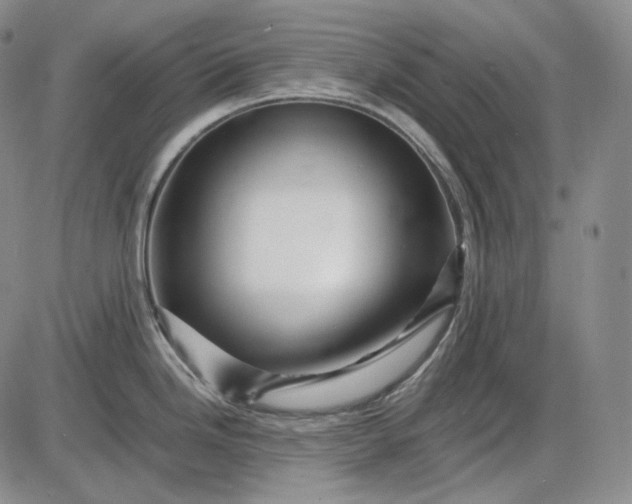 X0000085841246200703301637