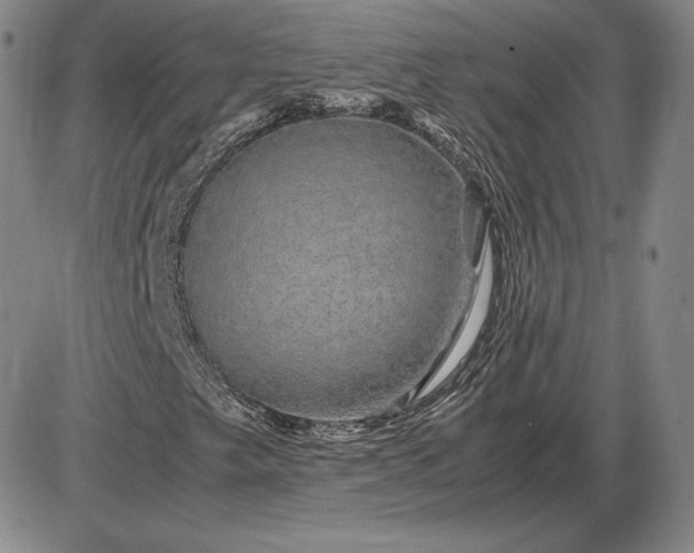 X0000085841249200703301636