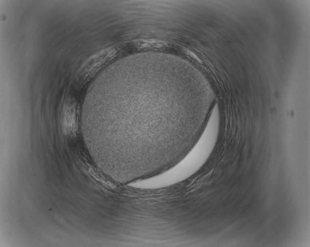 X0000085841250200703301636
