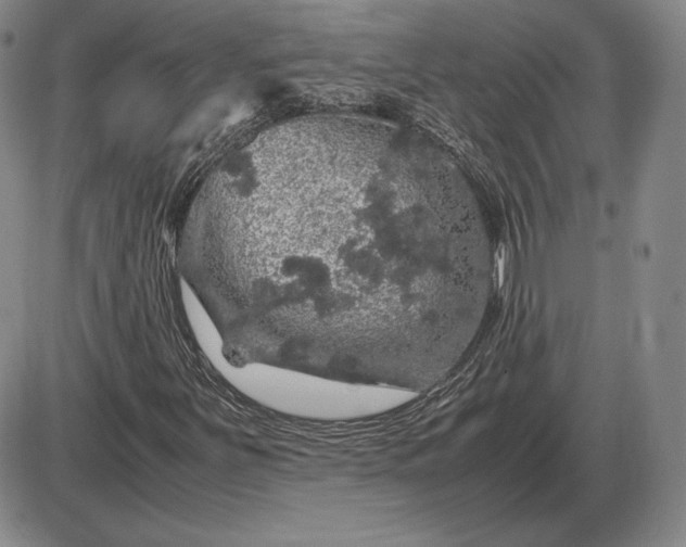 X0000085841251200703301636
