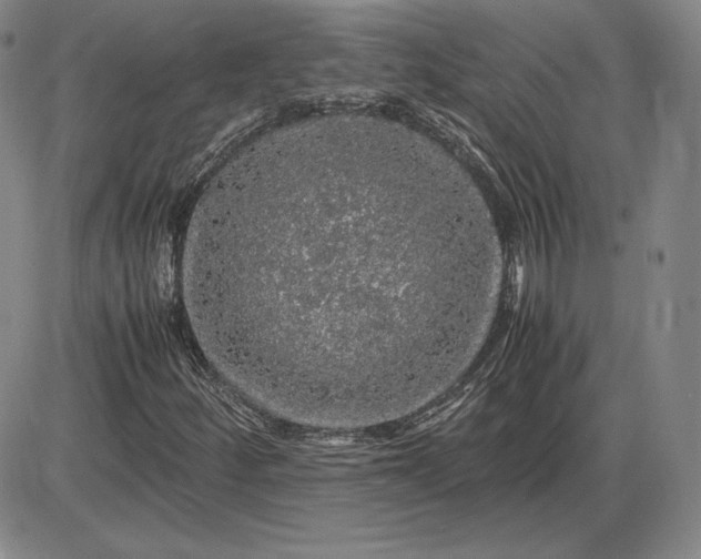 X0000085841252200703301636