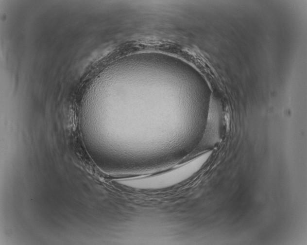 X0000085841253200703301636