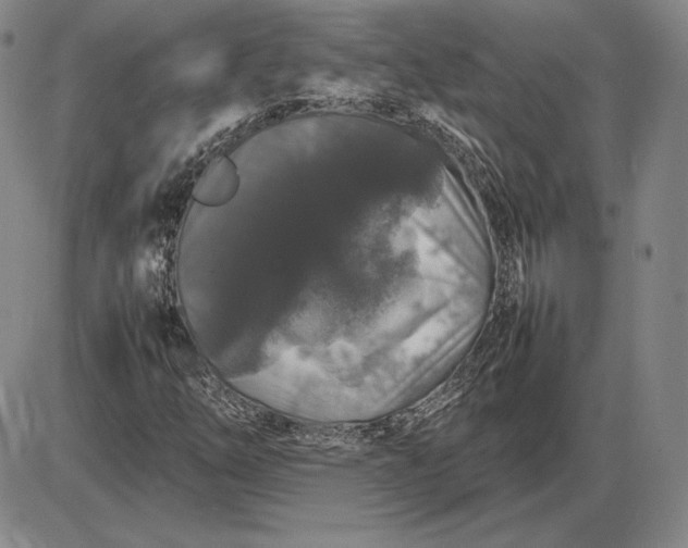 X0000085841254200703301636