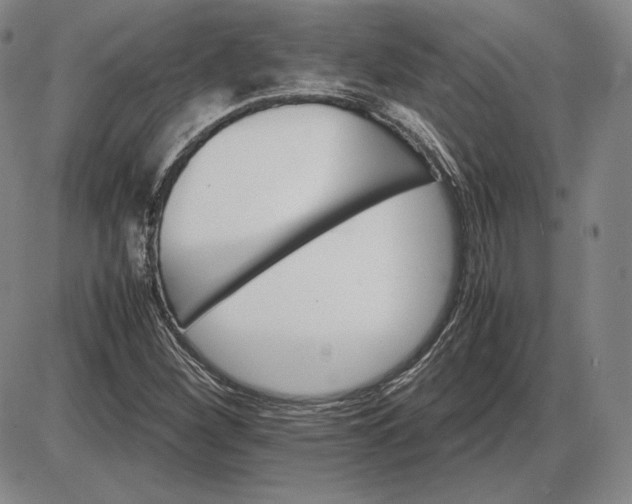 X0000085841260200703301636