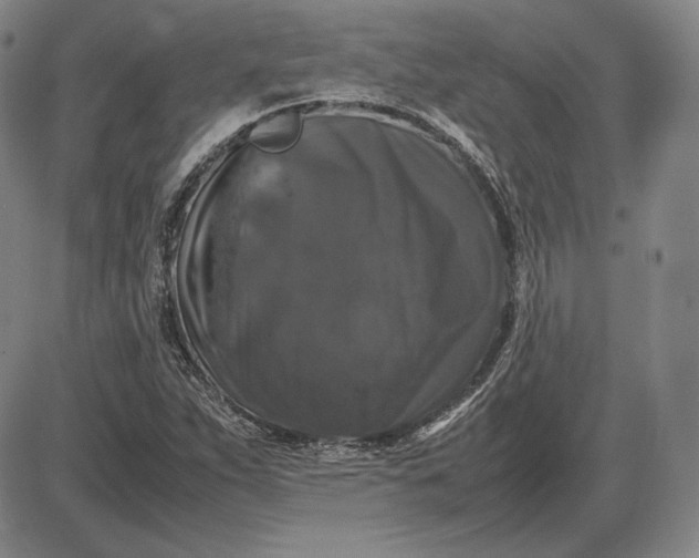 X0000085841263200703301636