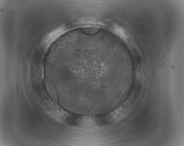 X0000085841267200703301636