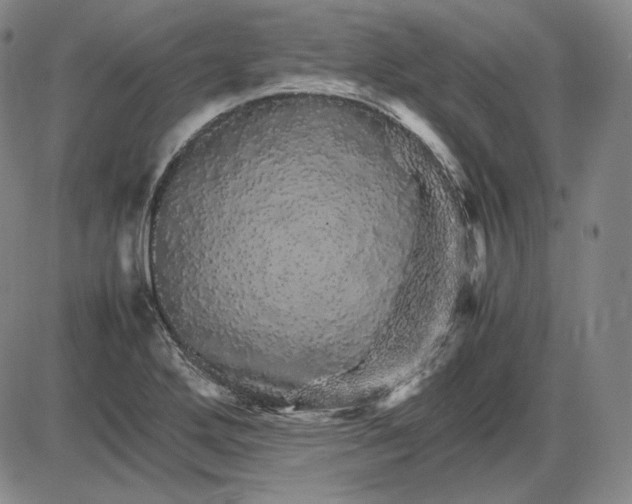 X0000085841272200703301635