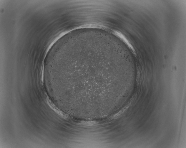 X0000085841276200703301635