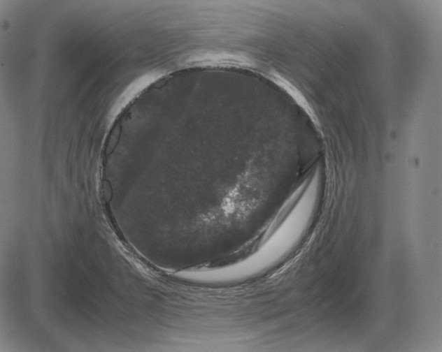 X0000085841277200703301635