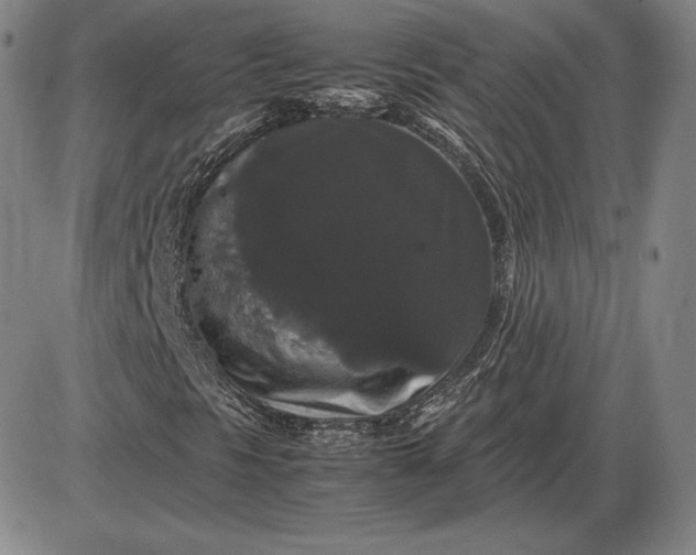 X0000085841297200703301634