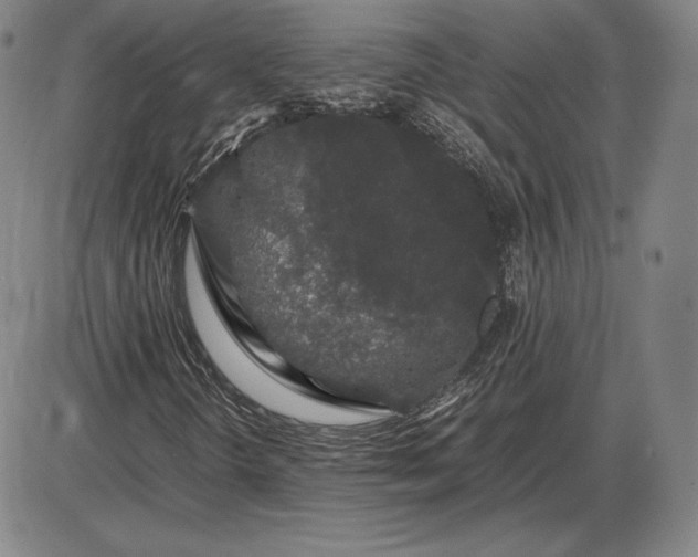X0000085841298200703301634