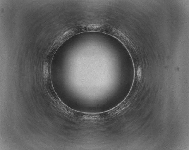X0000085841299200703301634