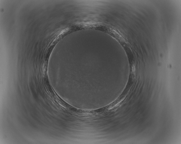 X0000085841300200703301634