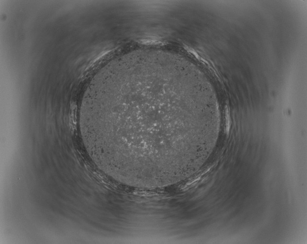X0000085841301200703301634