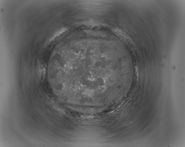 X0000085841302200703301634