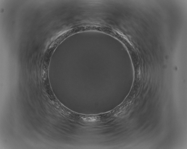 X0000085841303200703301634
