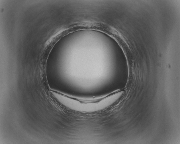 X0000085841304200703301634