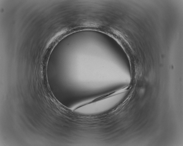 X0000085841307200703301634