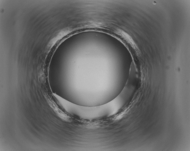 X0000085841308200703301634