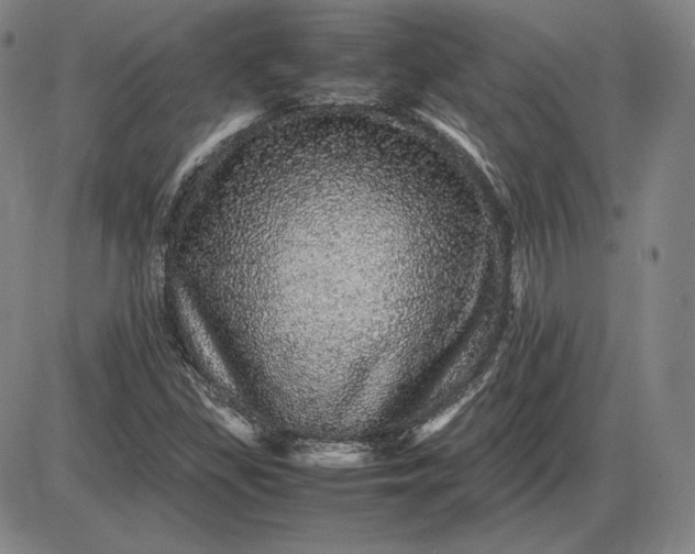 X0000085841309200703301634