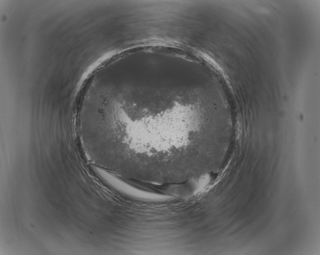 X0000085841310200703301634